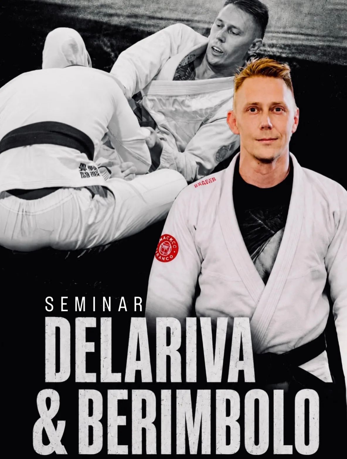 Teli Ahola: delariva & berimbolo