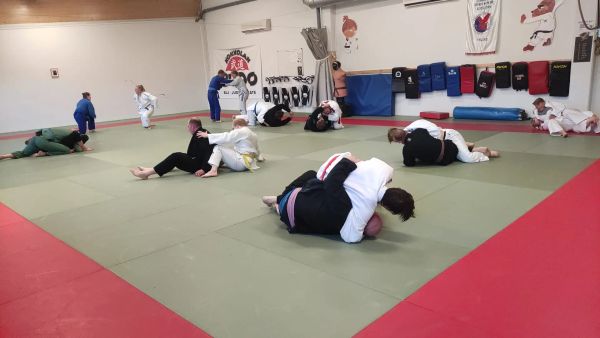Kokkolan Budo